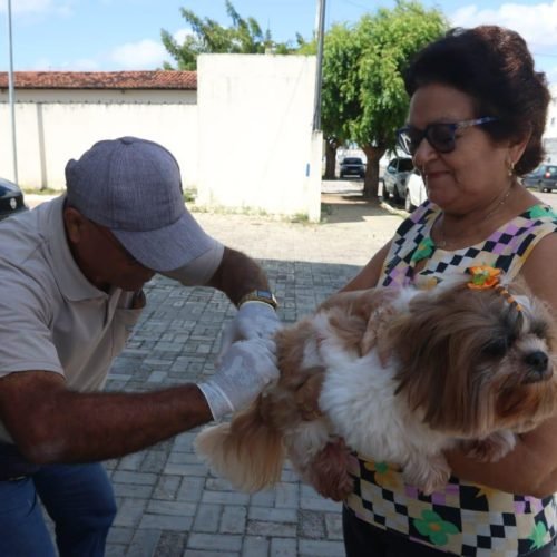 Parnamirim registra mais de 900 animais atendidos no último sábado, 23.