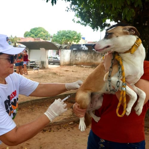 Parnamirim avança com Pré-Campanha de vacinação antirrábica neste sábado, dia 6 de setembro.