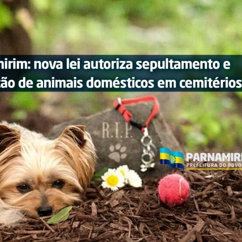 Parnamirim: nova lei autoriza sepultamento e cremação de animais domésticos em cemitérios