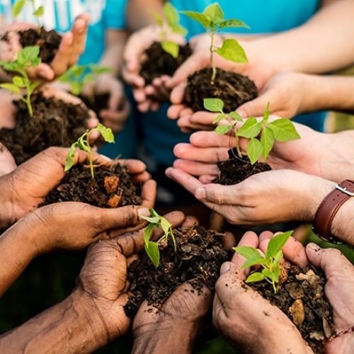 Casa Legislativa lança programação do Junho Verde na segunda-feira (01)