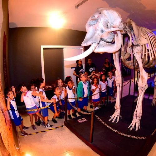 Museu Câmara Cascudo tem programação gratuita para todas as idades na Primavera dos Museus
