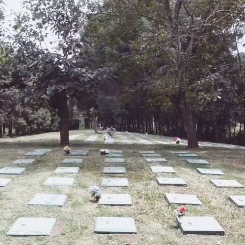 Câmara de Parnamirim aprova projeto que autoriza sepultamento de animais junto com os tutores