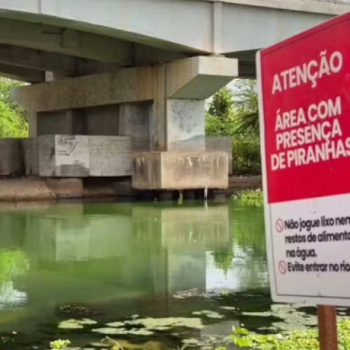 Cidade instala placas com alerta de piranhas em rio no interior do RN
