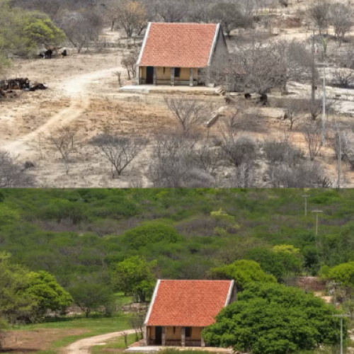 Antes e depois: Fotos mostram transformação de paisagem após chuvas no interior do RN