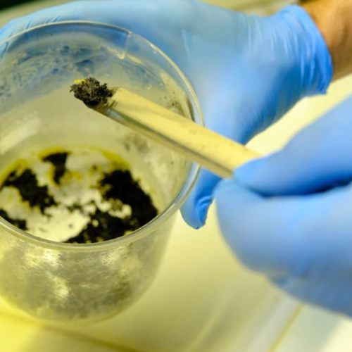 Pesquisadores da UFRN desenvolvem tecnologia que transforma gases poluentes em combustível para a indústria