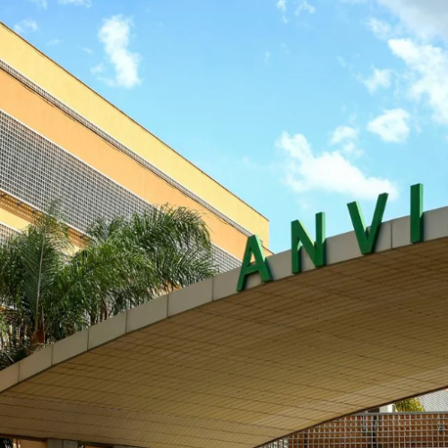 Anvisa alerta sobre risco ao fígado em suplementos de cúrcuma