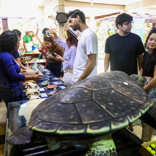 Semana do Meio Ambiente de Parnamirim tem continuidade na Orla Pirangi do Norte