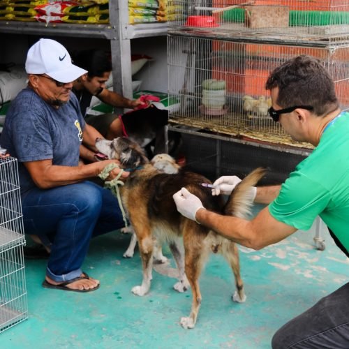 Parnamirim deu início à Pré-campanha de vacinação antirrábica de cães e gatos no último sábado, dia 2.