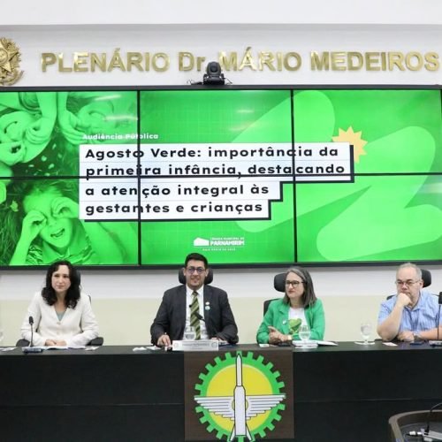 A Câmara de Parnamirim realizou, nesta sexta-feira (01), uma audiência pública para debater o Agosto Verde.