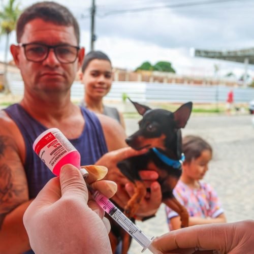 Parnamirim dá continuidade na Pré-Campanha de vacinação antirrábica no próximo sábado, 16.