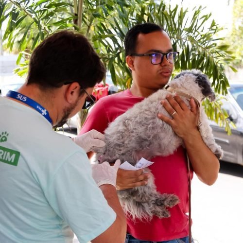 Parnamirim vacina mais de 800 animais no último sábado (16)