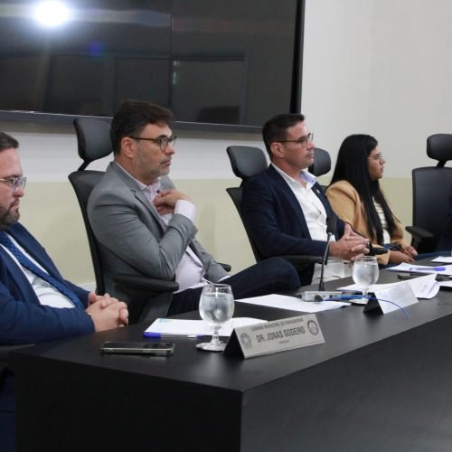 Comissão Permanente de Constituição, Legislação e Redação Final debate projetos de lei