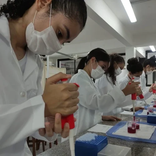 Especialista da UNP explica as diferentes formas de ingresso no ensino superior