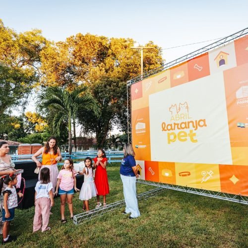 Câmara de Parnamirim realiza reunião para organizar Abril Laranja Pet