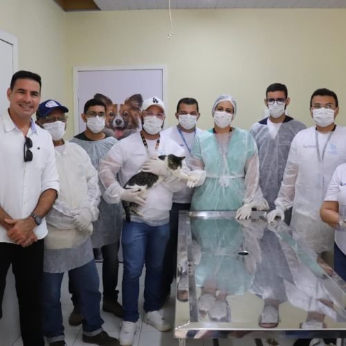 Parnamirim se torna o primeiro município do RN a oferecer tratamento gratuito para esporotricose em gatos