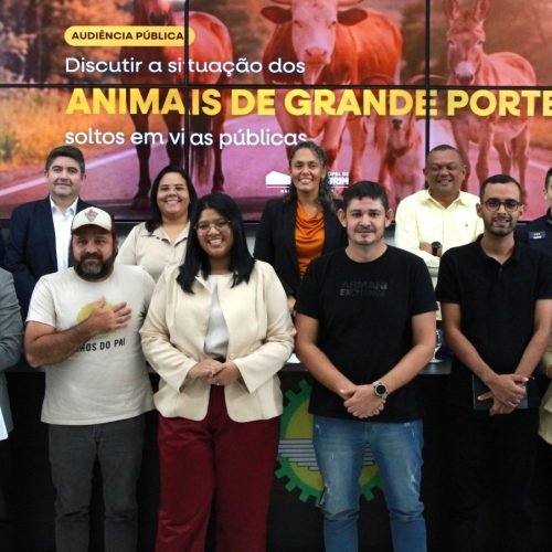 Audiência pública debate circulação de animais de grande porte em Parnamirim