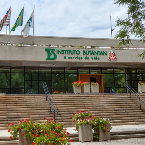 Instituto Butantan convida idosos para teste de nova vacina contra gripe em Natal