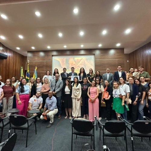 Adoção e Combate ao Abuso e à Exploração Sexual de Crianças e Adolescentes é tema de audiência pública