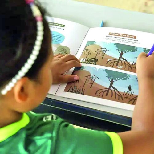 RN tem alta de 23% na alfabetização de crianças, mas cai para o último lugar