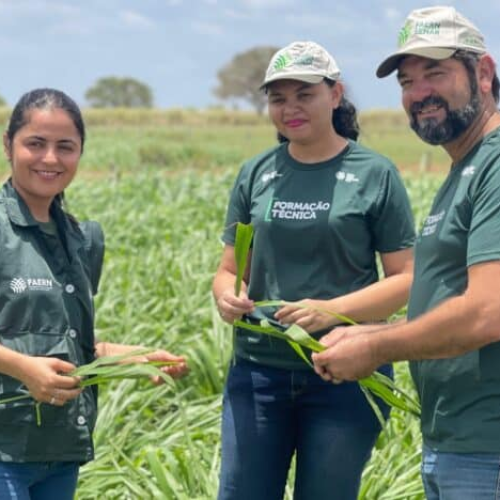Senar-RN abre processo seletivo da Formação Técnica para curso de Agricultura em Parnamirim