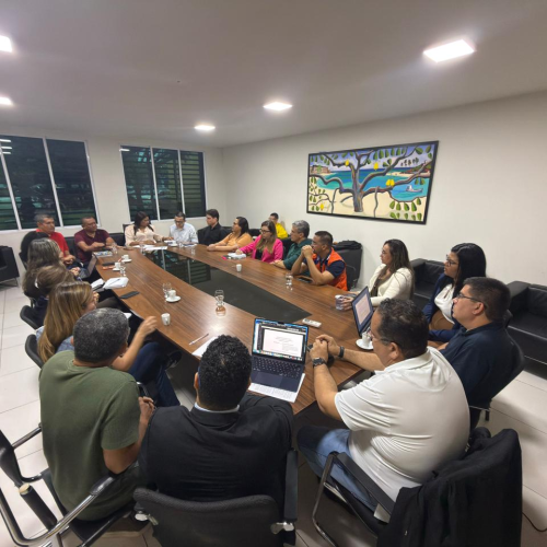 Câmara Municipal acompanha medidas de urgência contra os impactos das chuvas