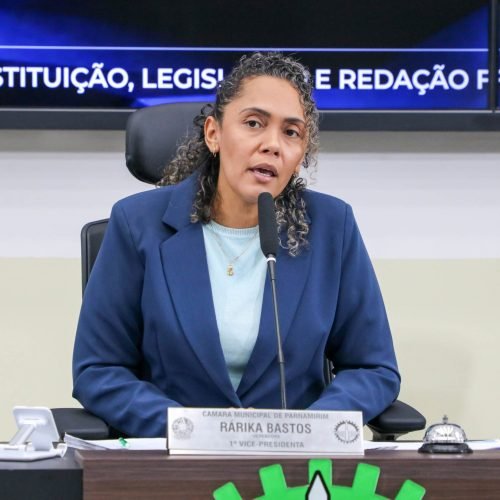 Audiência Pública debate situação de animais de grande porte em Parnamirim