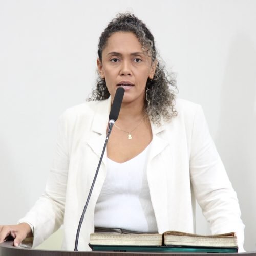 Audiência pública vai discutir cadastro e credenciamento de ambulantes